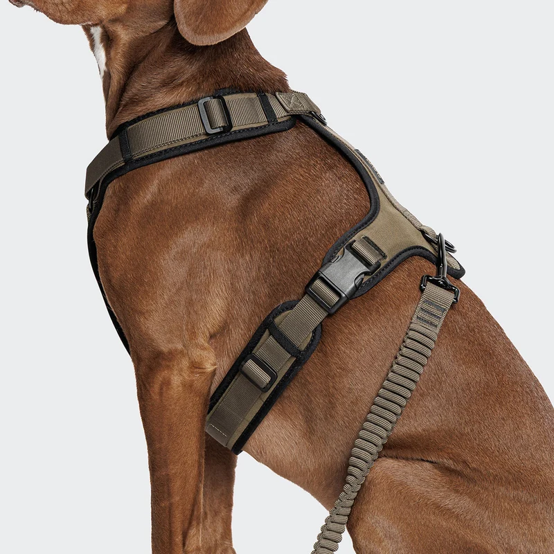 Hundeleine L-2 Jogging-Leine AKTIV, Olive