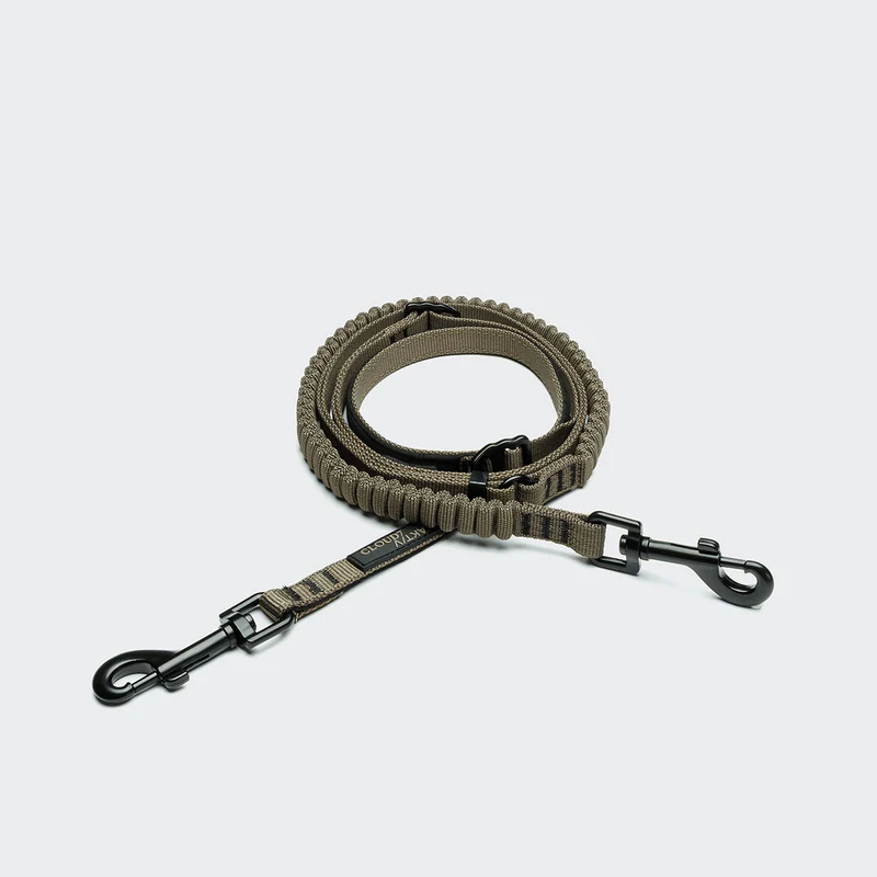 Hundeleine L-2 Jogging-Leine AKTIV, Olive