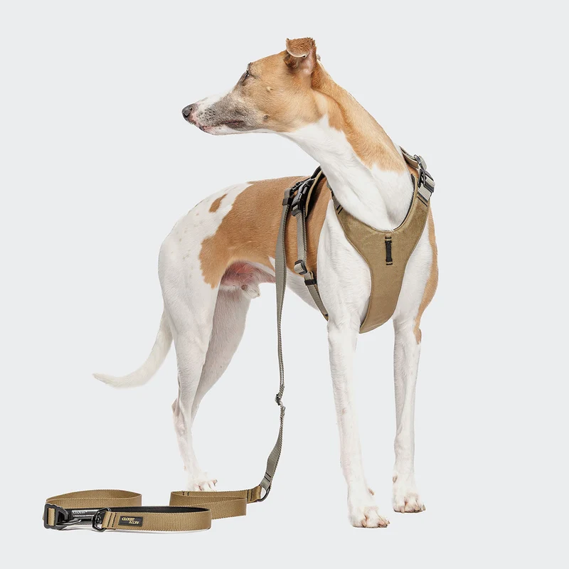 Hundeleine L-1 Freihandleine AKTIV, Khaki/Grey