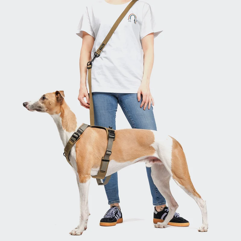 Hundeleine L-1 Freihandleine AKTIV, Khaki/Grey