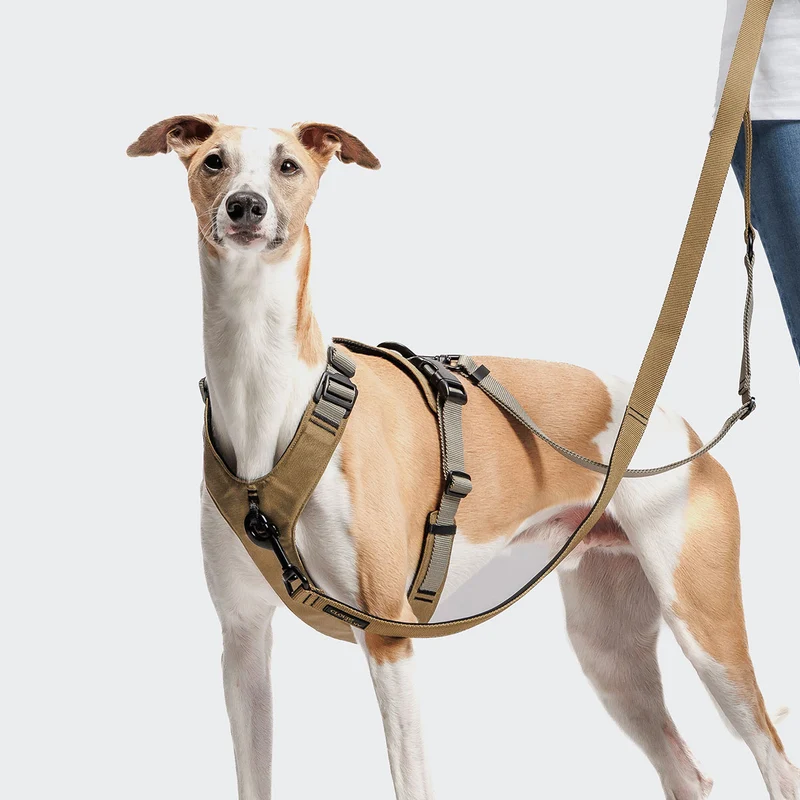Hundeleine L-1 Freihandleine AKTIV, Khaki/Grey
