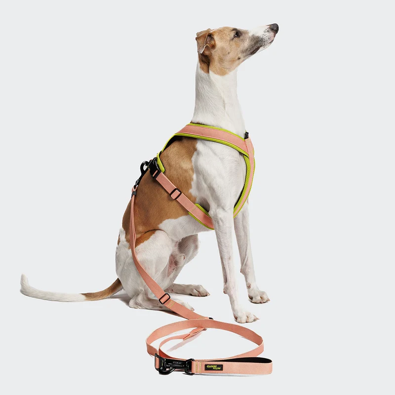 Hundeleine L-1 Freihandleine AKTIV, Peach