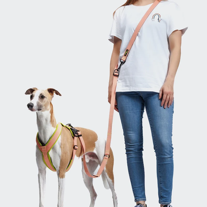Hundeleine L-1 Freihandleine AKTIV, Peach