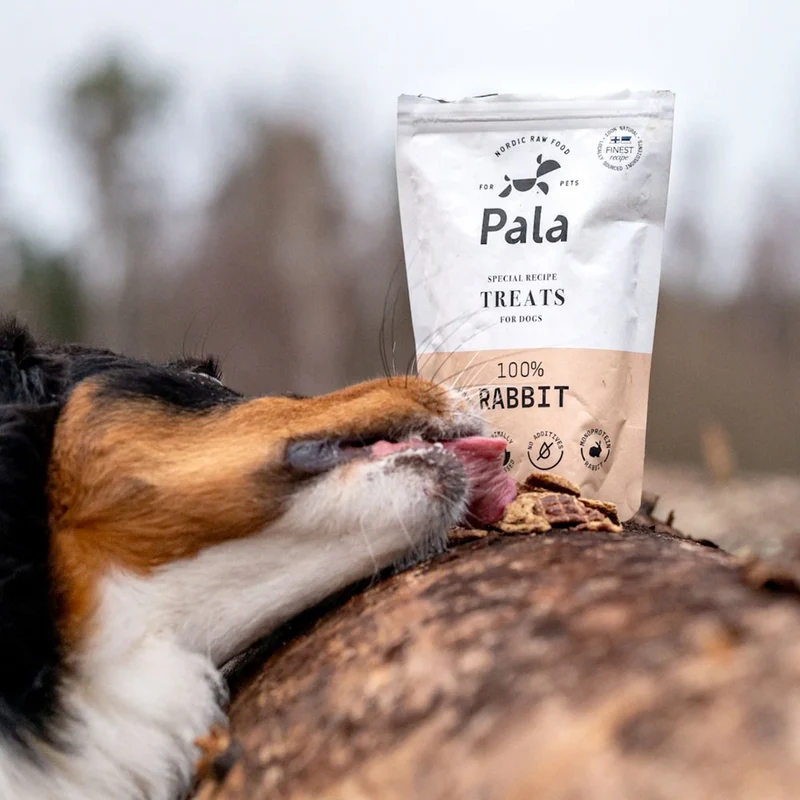 Hundeleckerli Rabbit Treats, 100g