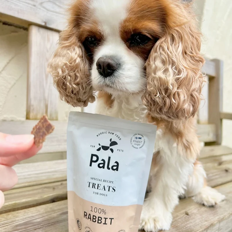 Hundeleckerli Rabbit Treats, 100g
