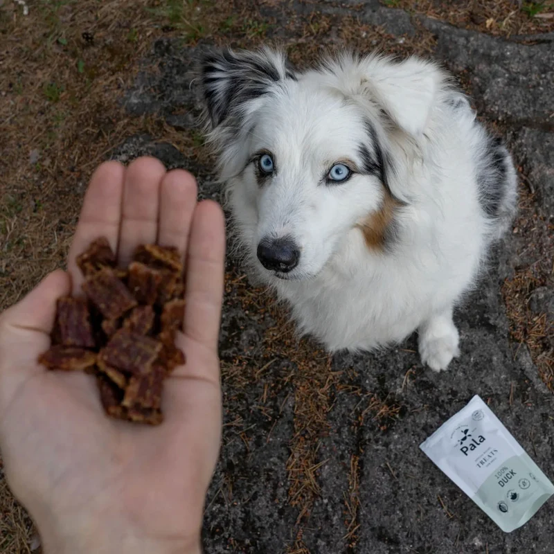 Hundeleckerli Duck Treats, 100g