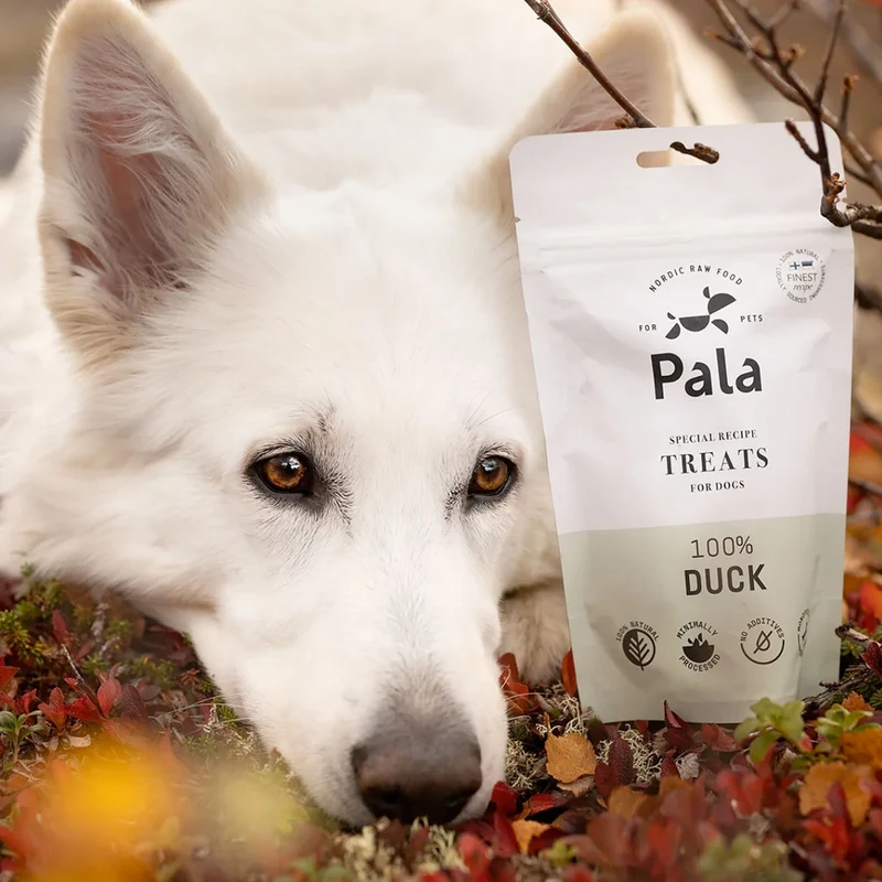 Hundeleckerli Duck Treats, 100g