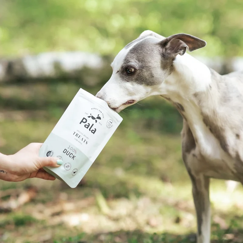 Hundeleckerli Duck Treats, 100g