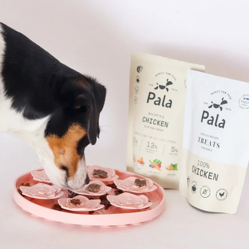 Hundeleckerli Chicken Treats, 100g