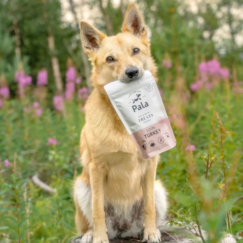 Hundeleckerli Turkey Treats, 100g