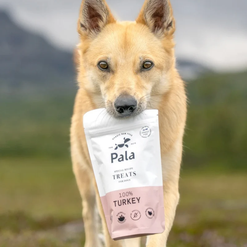 Hundeleckerli Turkey Treats, 100g