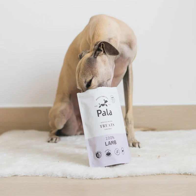 Hundeleckerli Lamb Treats, 100g