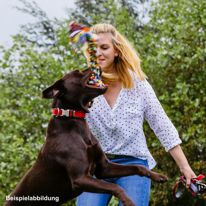 Nobby Spielseil ROPE TOY - Zerrspiel Zahnpflege Knotenseil Apportierspielzeug