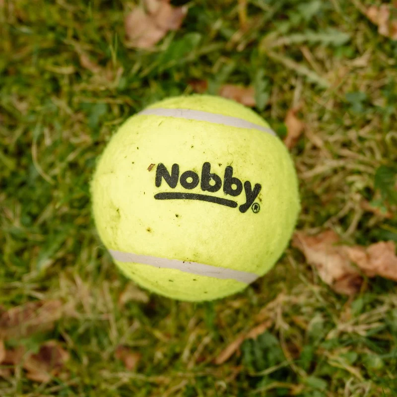 Nobby Tennisball - gelb - Apportierspiel Ball für Hund mit und ohne Quietschie