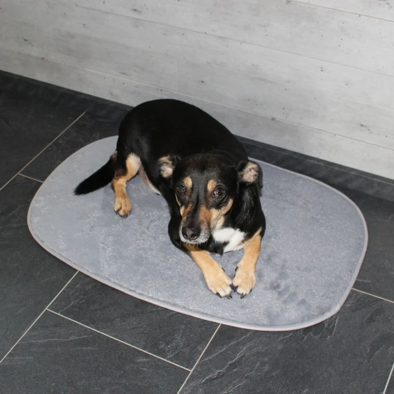 Nobby Liegematte Classic SIAK - hellgrau - Schlafplatz Decke Kissen Hundebett