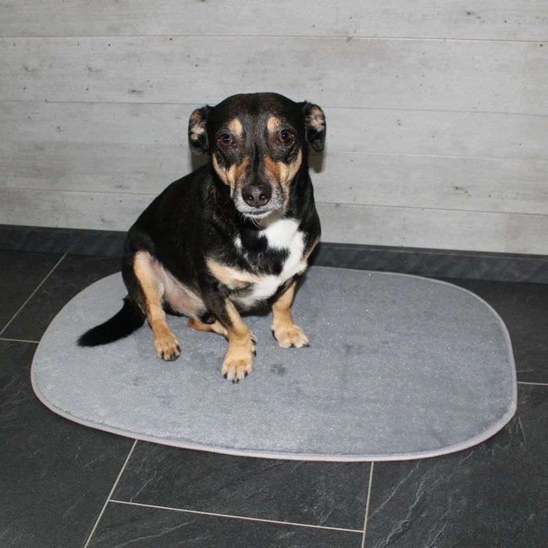 Nobby Liegematte Classic SIAK - hellgrau - Schlafplatz Decke Kissen Hundebett