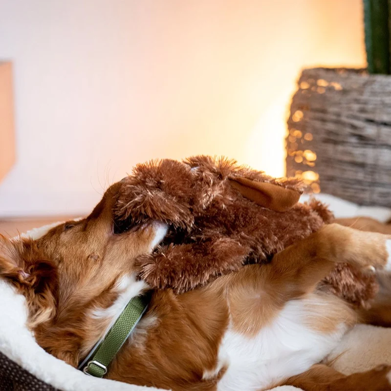 Nobby Plüsch-Hundespielzeug Hund SCHLAPPI - 27/38/50 cm Plüschtier Kuscheltier