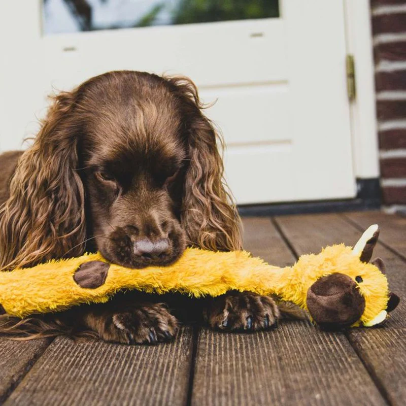 Nobby Plüsch-Hundespielzeug - innen mit Seil - Zerrspiel Kauspiel quitscht