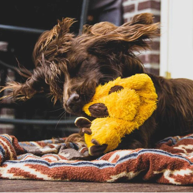 Nobby Plüsch-Hundespielzeug - innen mit Seil - Zerrspiel Kauspiel quitscht