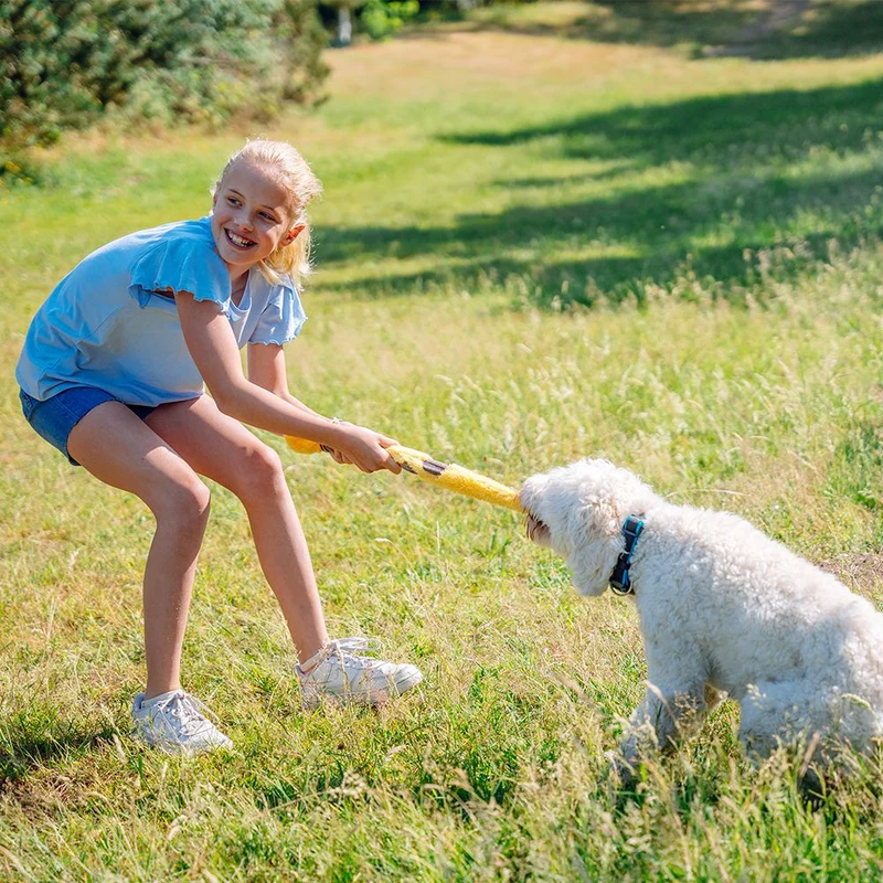 Nobby Plüsch-Hundespielzeug - innen mit Seil - Zerrspiel Kauspiel quitscht