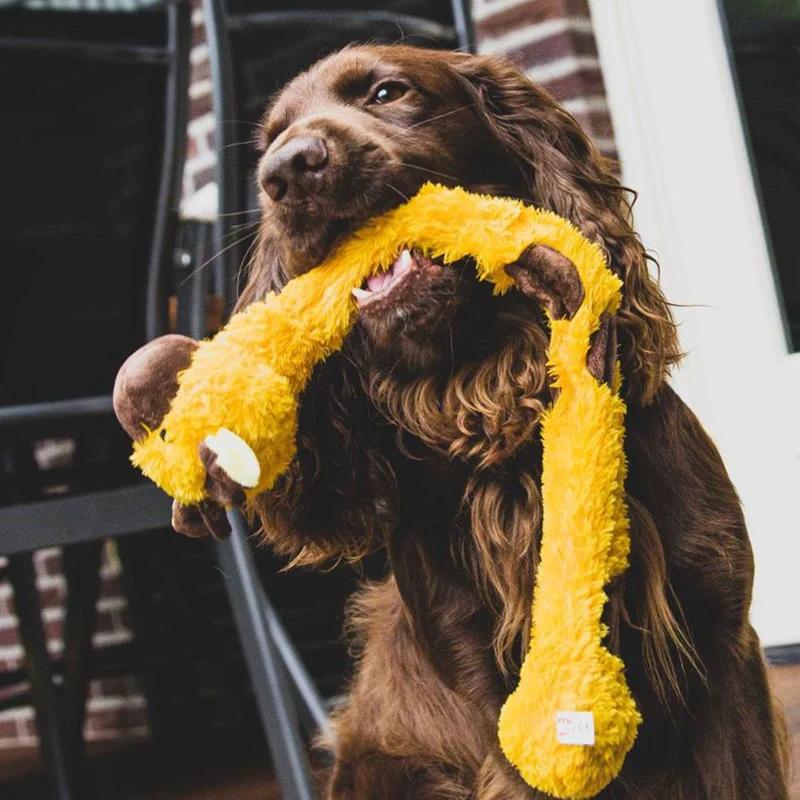 Nobby Plüsch-Hundespielzeug - innen mit Seil - Zerrspiel Kauspiel quitscht