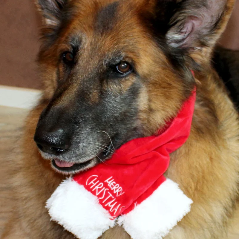 Nobby XMAS Plüsch-Schal für Hunde - 45/65/85 cm - Weihnachtsschal Hundeschal