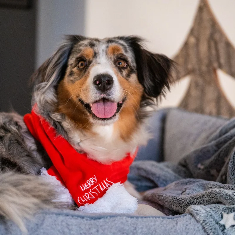 Nobby XMAS Plüsch-Schal für Hunde - 45/65/85 cm - Weihnachtsschal Hundeschal
