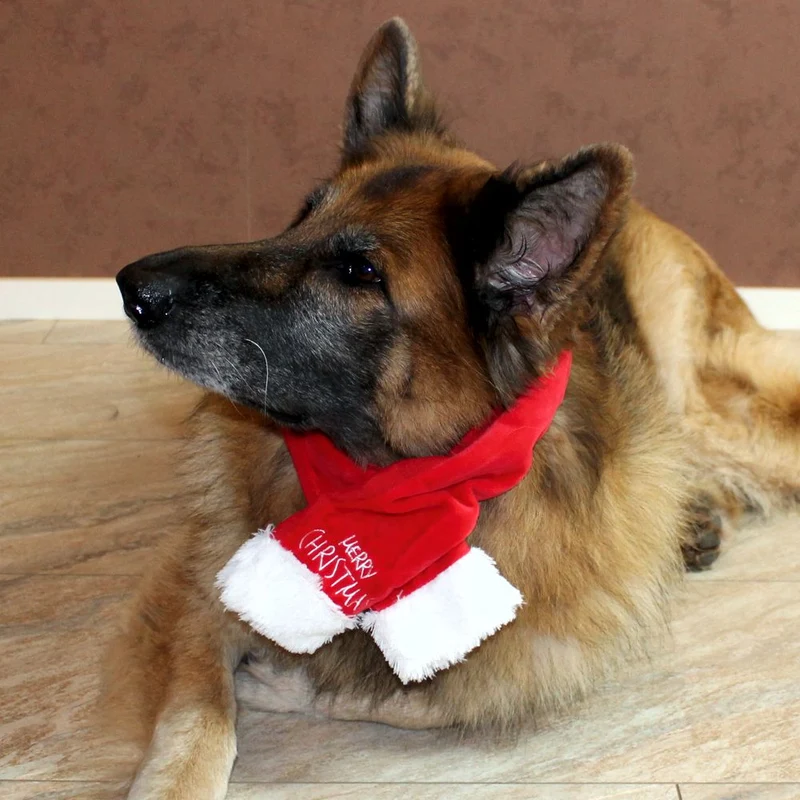 Nobby XMAS Plüsch-Schal für Hunde - 45/65/85 cm - Weihnachtsschal Hundeschal