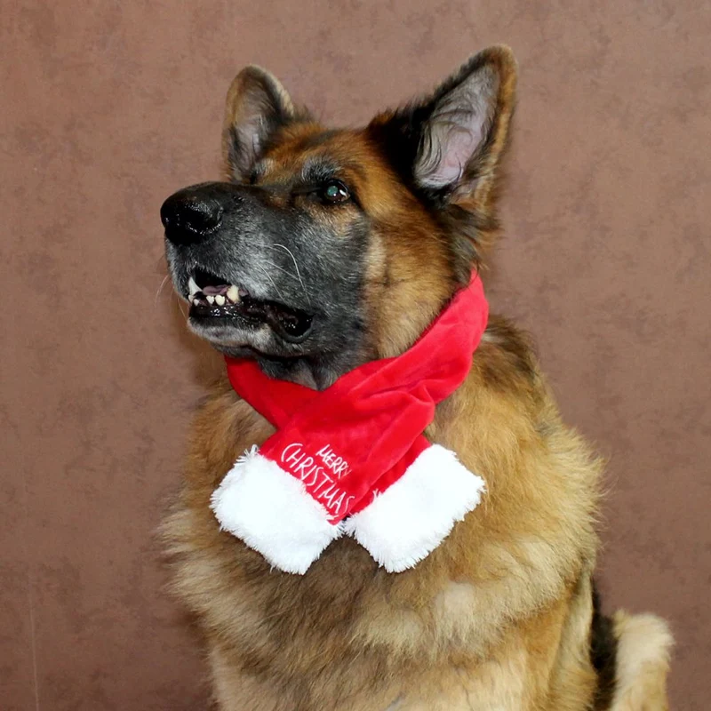 Nobby XMAS Plüsch-Schal für Hunde - 45/65/85 cm - Weihnachtsschal Hundeschal