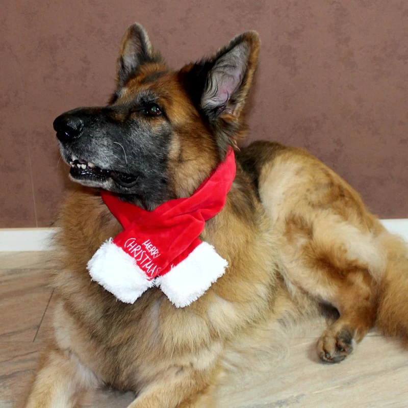 Nobby XMAS Plüsch-Schal für Hunde - 45/65/85 cm - Weihnachtsschal Hundeschal