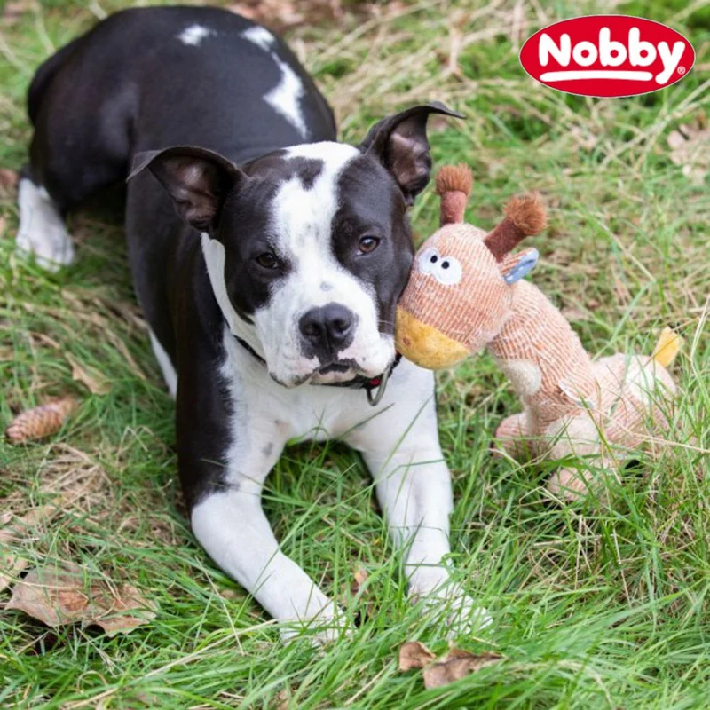 Nobby Plüsch-Hundespielzeug FUCHS & GIRAFFE - 30 cm Plüschtier Kuscheltier Hund