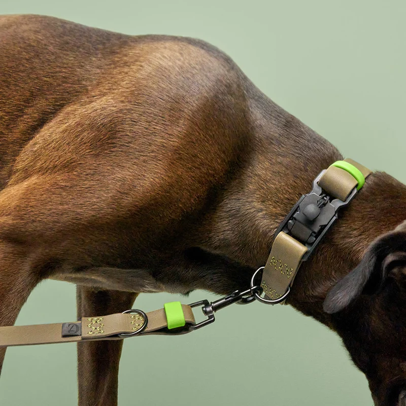 Hundehalsband BioThane Ipanema, Olive - Neongrün