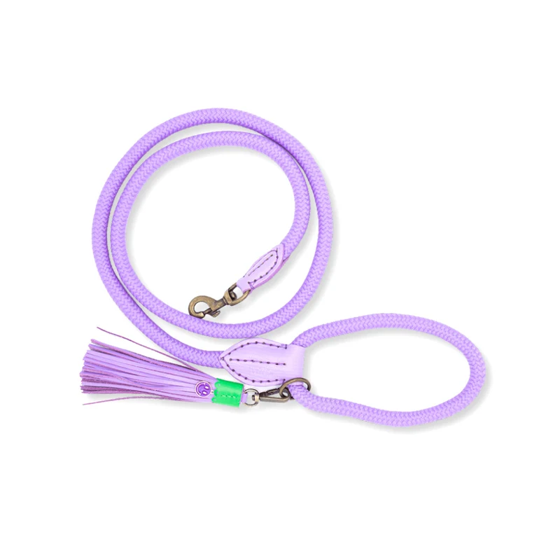 Hundeleine | Purple Rain