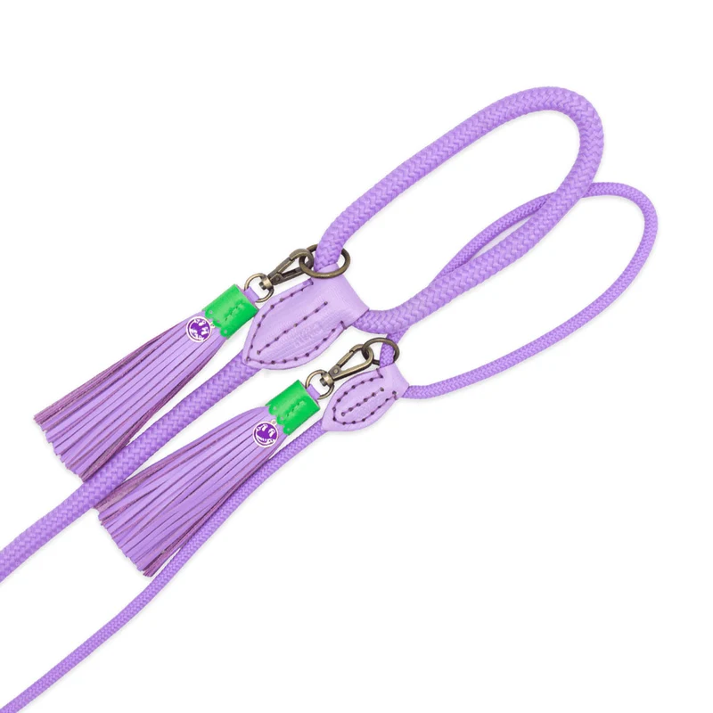 Hundeleine | Purple Rain