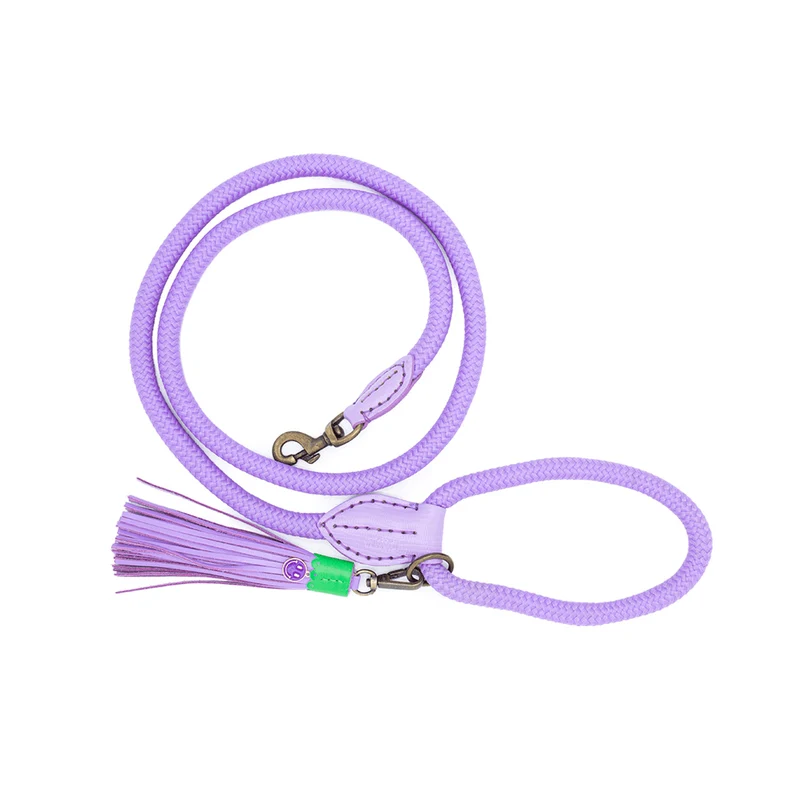 Hundeleine | Purple Rain