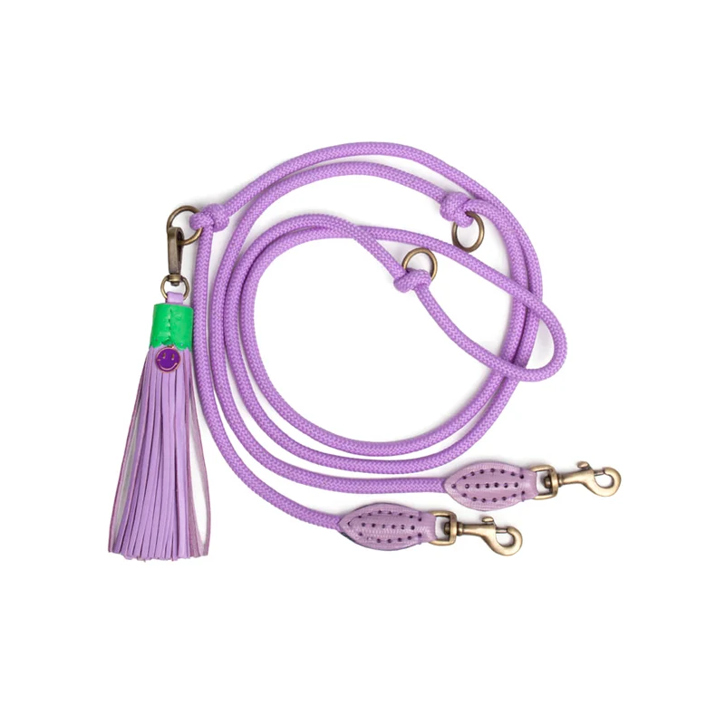 Hundeleine | Purple Rain – verstellbar