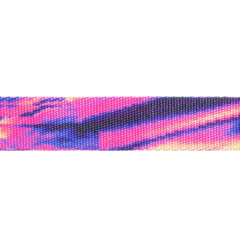 Hundehalsband, ERROR #500