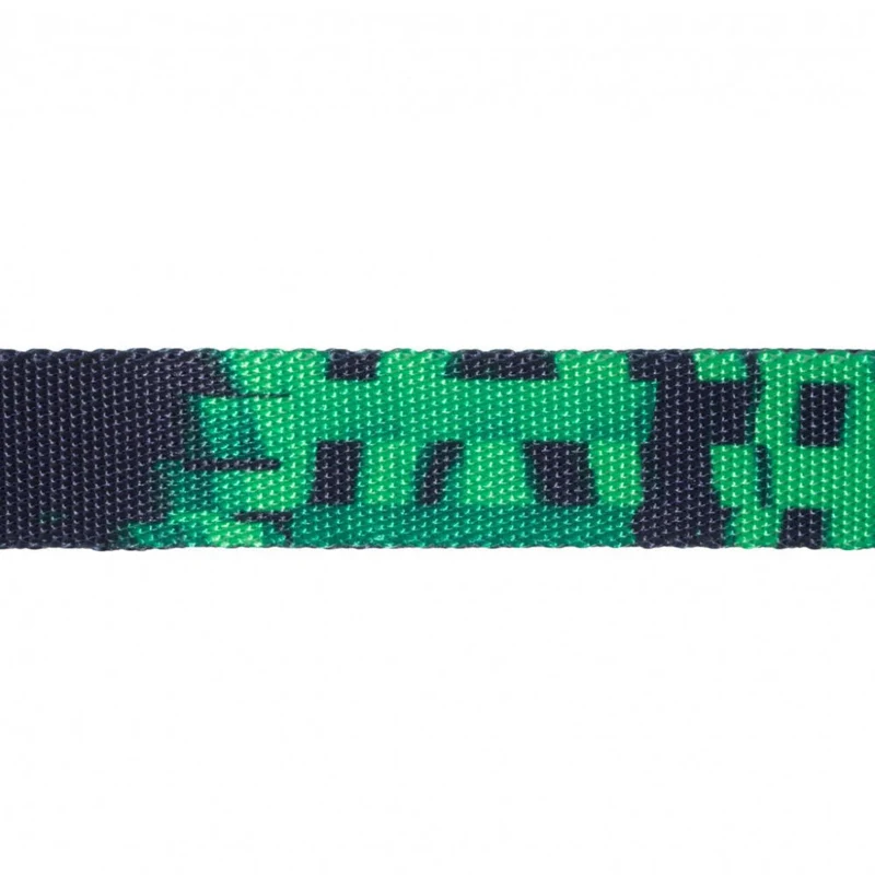 Hundehalsband, ERROR #410