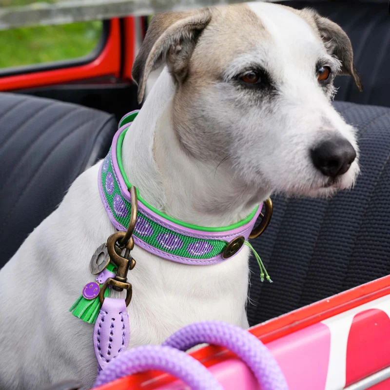 Hundehalsband | Smiley