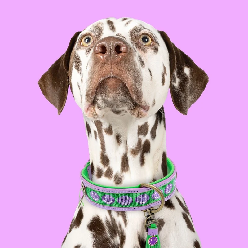 Hundehalsband | Smiley