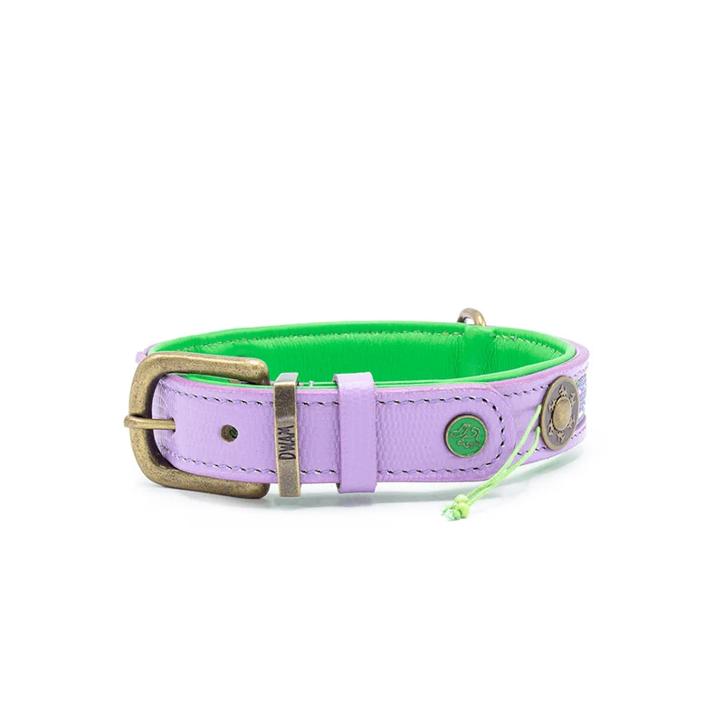 Hundehalsband | Smiley