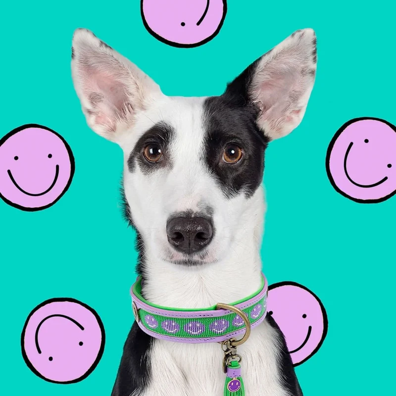 Hundehalsband | Smiley