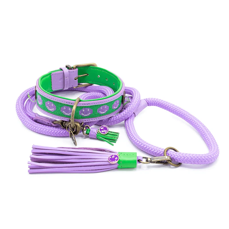 Hundehalsband | Smiley