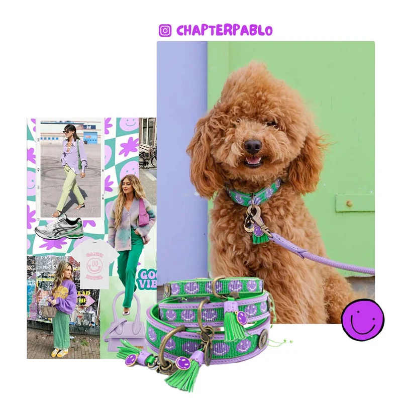 Hundehalsband | Smiley