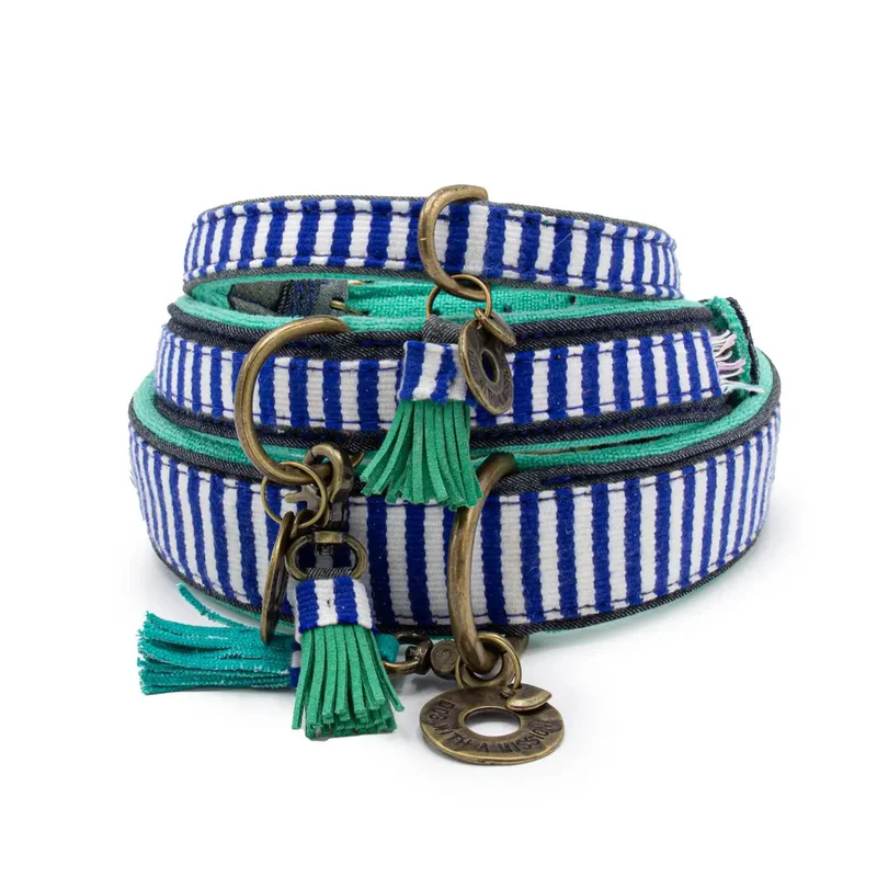 Hundehalsband | Mr. Cruise
