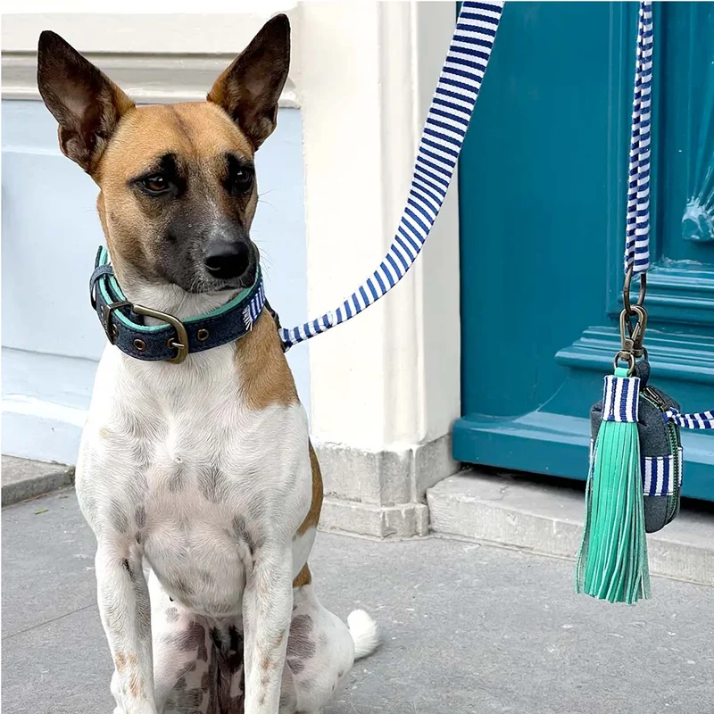 Hundehalsband | Mr. Cruise