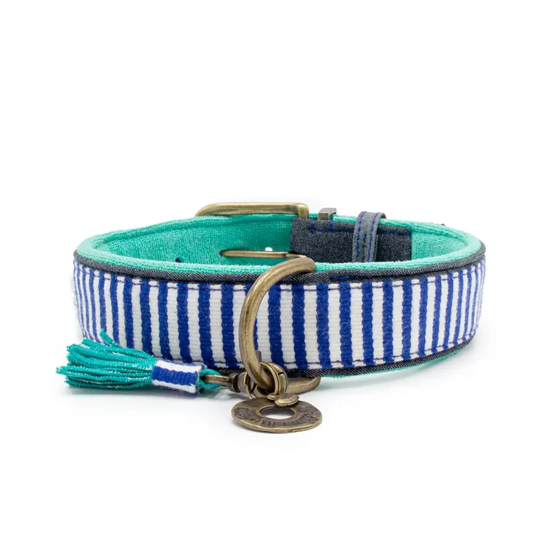 Hundehalsband | Mr. Cruise