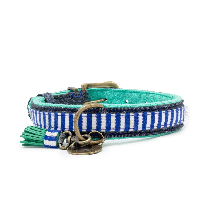 Hundehalsband | Mr. Cruise