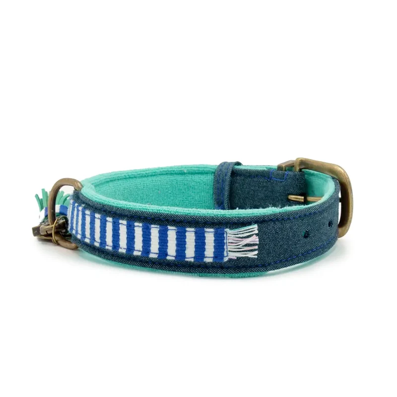 Hundehalsband | Mr. Cruise