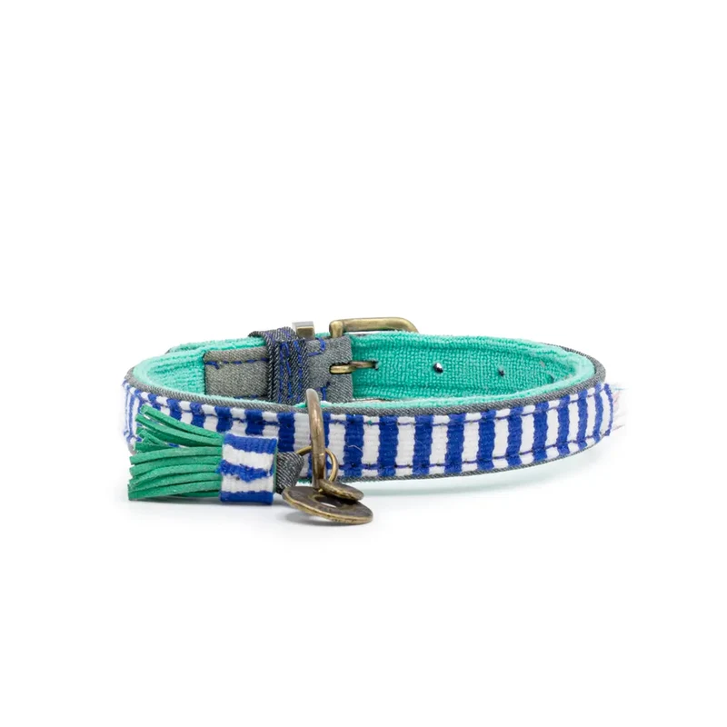 Hundehalsband | Mr. Cruise
